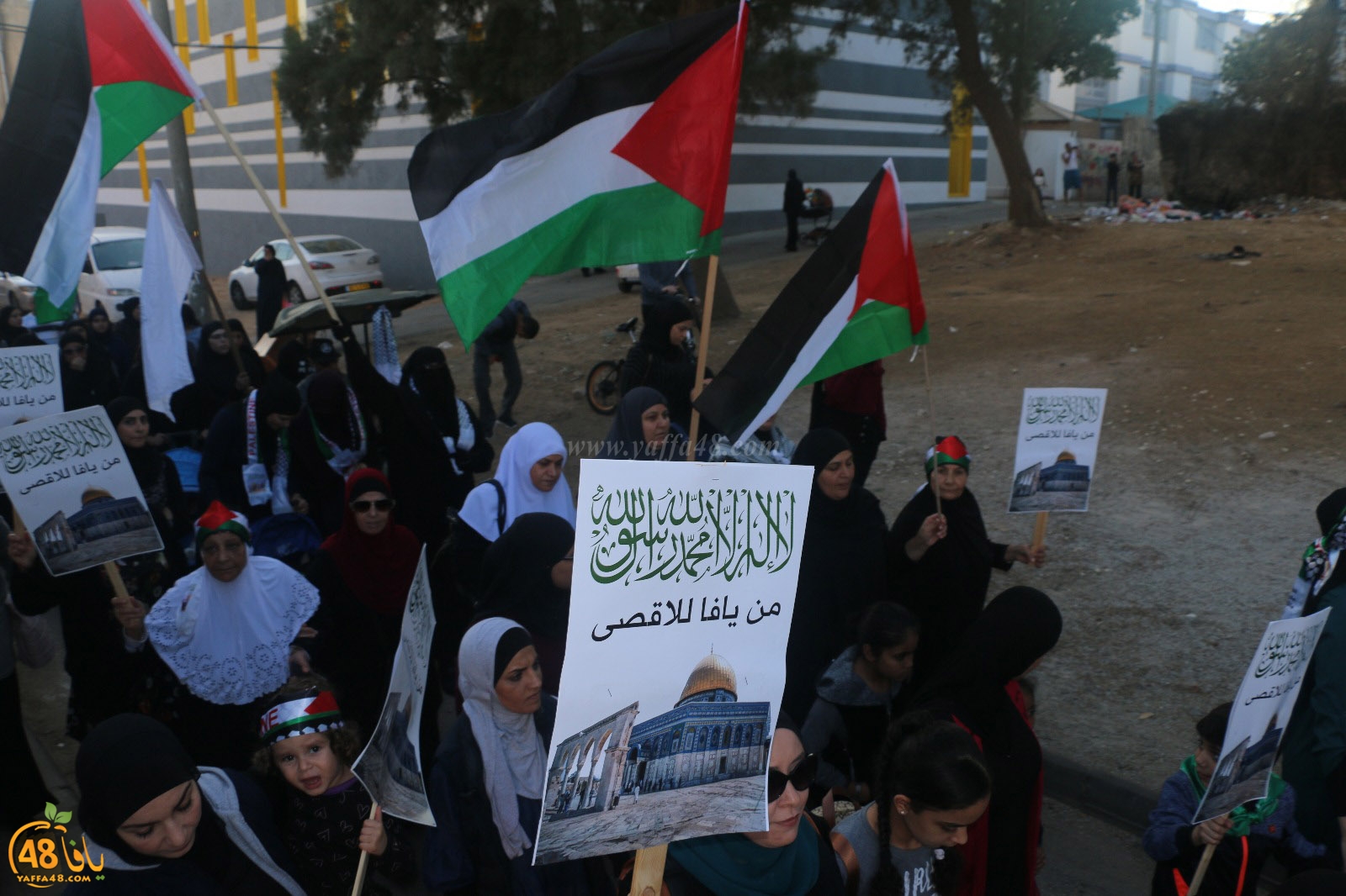 yaffa modahara jeq (29).jpg